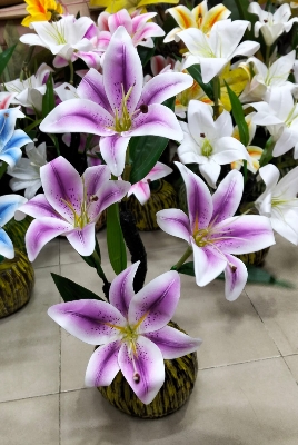 Picture of Artificial Plastic flower-(1 pec only)
