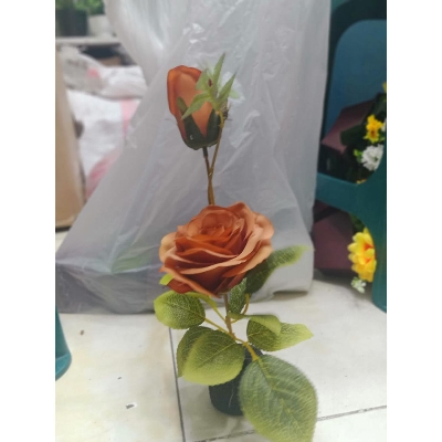 Picture of Artificial Plastic Plant-Fl0wer