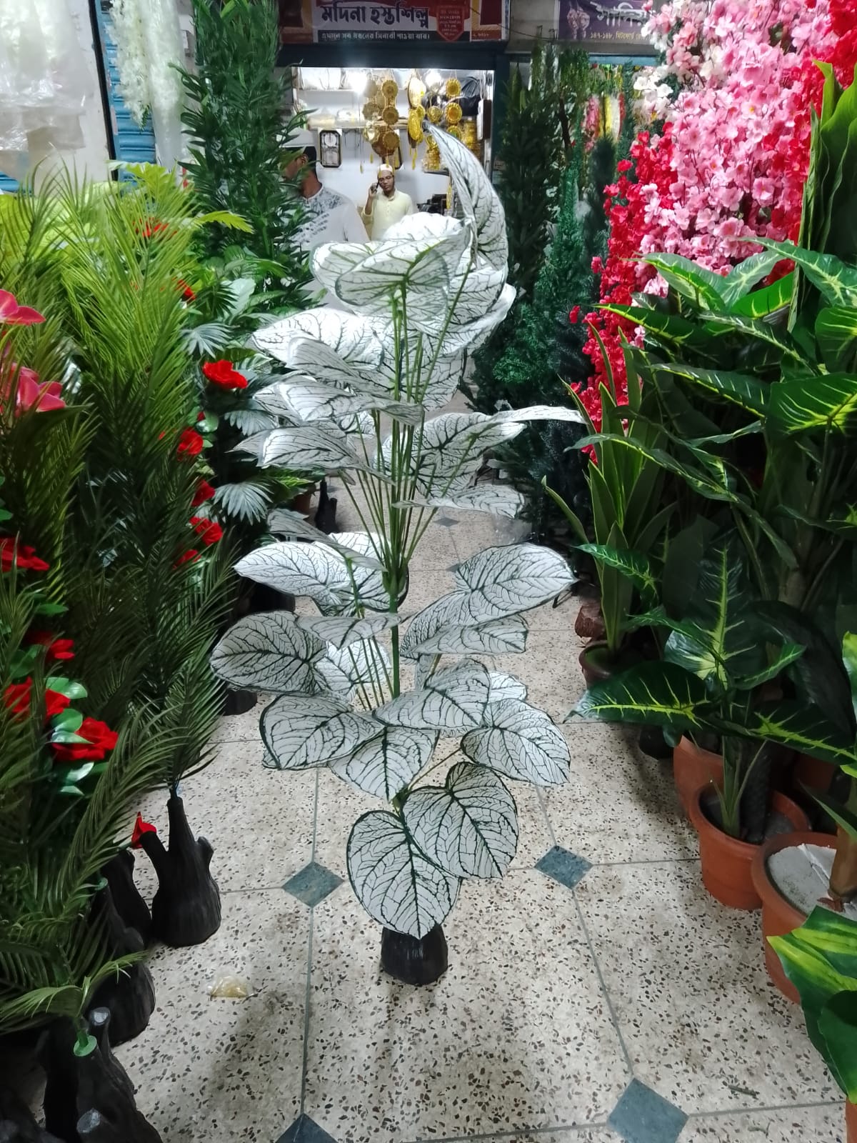 Picture of Artificial Plastic Plant - free delivery