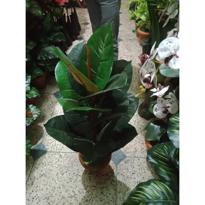 Picture of Artificial Plastic Plant Tree - 1
