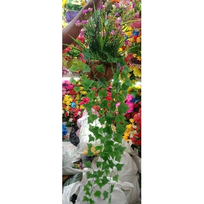 Picture of Artificial Plastic Plant- Hanging Frower