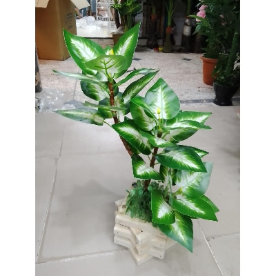 Picture of Artificial Plastic Plant Tree  - - Home Decoration Item - Home Decoration Item