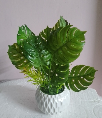 Picture of monstera artificial plan with tob