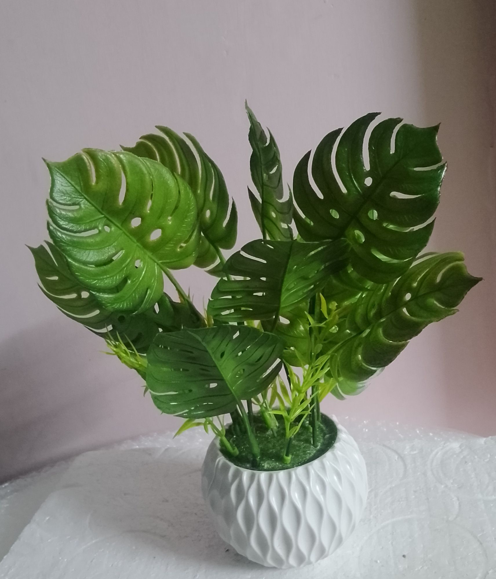Picture of monstera artificial plan with tob