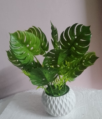 Picture of monstera artificial plan with tob