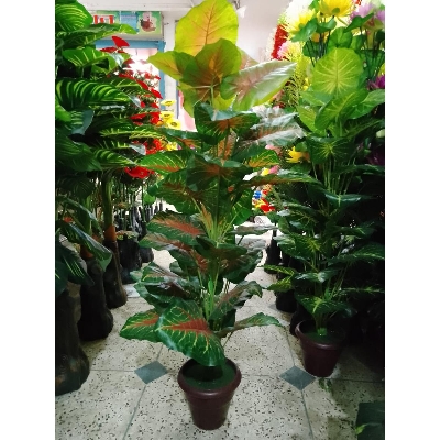 Picture of Artificial Plastic Plant Tree  - - Home Decoration Item   -  free delivery