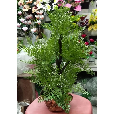 Picture of Artificial Plastic Plant  -Bonsai  Tree - Home Decoration Item - Home Decoration Item