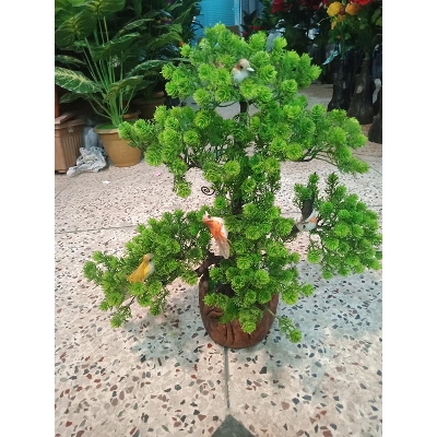 Picture of Bonsai Plant With Matir Tob-9