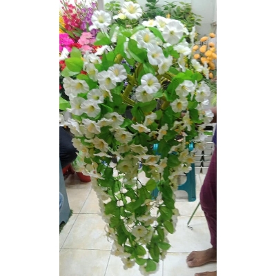 Picture of Artificial Plastic Plant- Hanging Flower - Home Decoration Item - Home Decoration Item