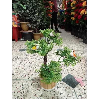 Picture of Artificial Plastic Plant  -Bonsai  Tree - Home Decoration Item - Home Decoration Item