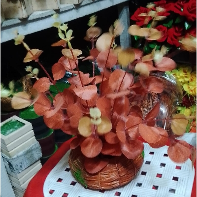 Picture of Atificial plastic plant - Flower