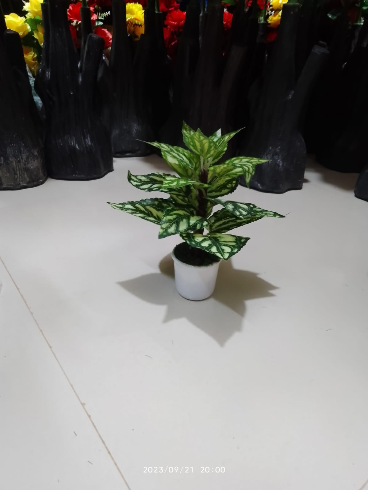 Picture of Artificial Plastic Plant-(1 pec only)