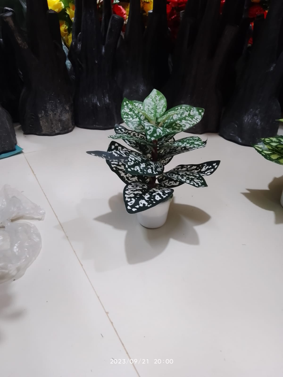 Picture of Artificial Plastic Plant-(1 pec only)