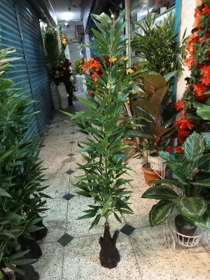 Picture of Artificial Plastic Plant Tree  - Long Bas Pata - Home Decoration Item - Home Decoration Item - Home Decoration Item   -  free delivery