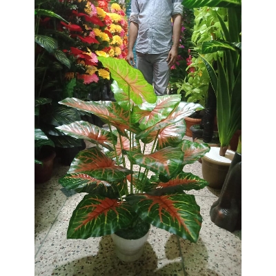 Picture of Artificial Plastic Plant Tree - 3 - Home Decoration Item - Home Decoration Item