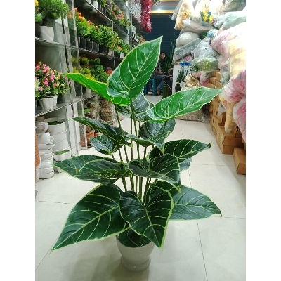 Picture of Artificial Plastic Plant Tree  -  4 - Home Decoration Item