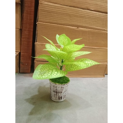 Picture of Artificial Plastic Plant Tree -