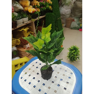 Picture of Artificial Plastic Plant Tree  -Bonsai