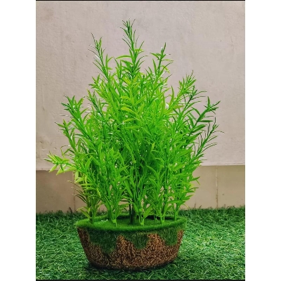 Picture of Artificial Plastic Plant -Tarragon With Tub