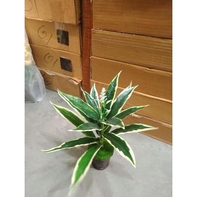 Picture of Artificial Plastic Plant Tree -