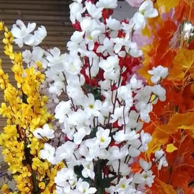 Picture of Artificial Plastic Plant -1  free delivery