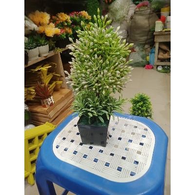 Picture of Artificial Plastic Plant Tree -Bonsai