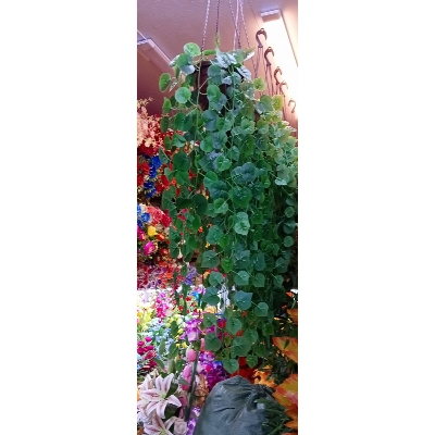 Picture of Artificial Plastic hanging with tob - 30 inch long