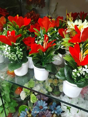 Picture of Artificial Plastic Plant-(1 pec only)