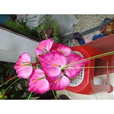 Picture of Artificial Plastic Flowers
