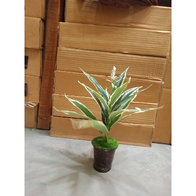 Picture of Artificial Plastic Plant Tree -