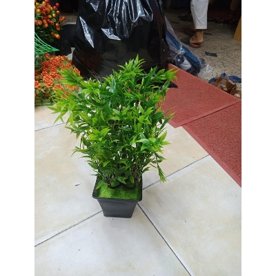 Picture of Artificial Plastic Plant -Tree