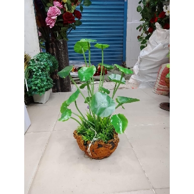 Picture of Artificial Plastic Plant Tree  -