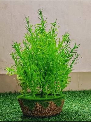 Picture of Artificial Herb Plant  -  With Tub