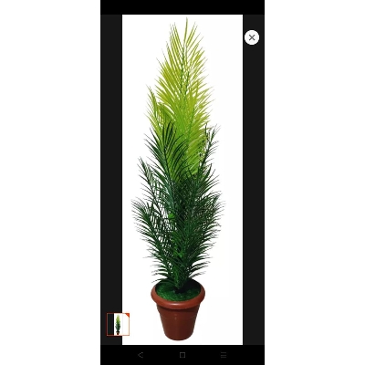 Picture of Artificial Plastic Plant Tree  -Palm Trees 3.6 Fit