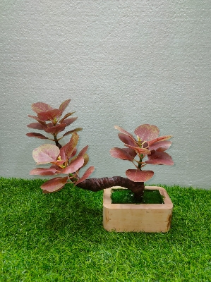 Picture of Artificial Plastic Plant Bonsai