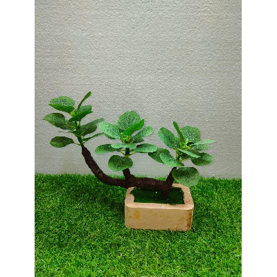 Picture of Artificial Plastic Plant Bonsai - Home Decoration Item - Home Decoration Item
