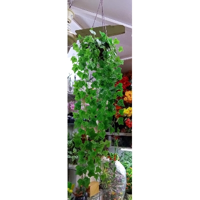 Picture of Artificial Plastic hanging with tob 30 inch  - Long