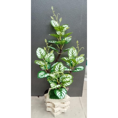 Picture of Artificial Plastic Plant Tree  - -  Home Decoration Item - Home Decoration Item - Home Decoration Item
