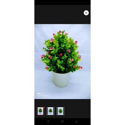 Picture of Artificial Plastic Plant Bonsai Flower With Green Leaves in Plastic Vases  -