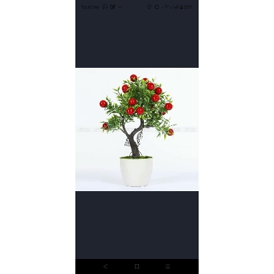 Picture of Artificial Plastic Plant Real Looking Fruit Bonsai  -With Tob - Home Decoration Item