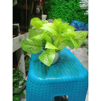 Picture of Artificial Plastic Plant Tree  -9