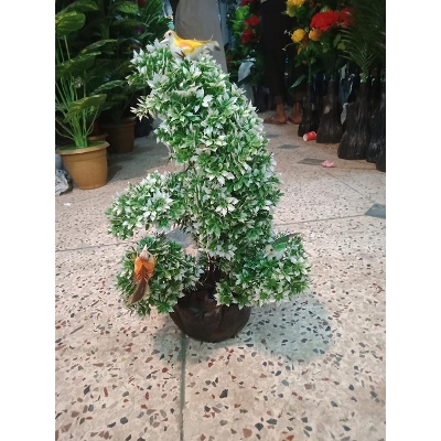 Picture of Bonsai Plant With Matir Tob-10