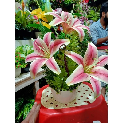 Picture of Plastic Artificial Flower - 18