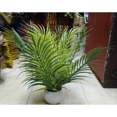 Picture of Artificial Plastic Palm Plant Tree
