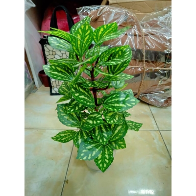 Picture of Plastic Artificial Flower - 11 - Home Decoration Item - Home Decoration Item