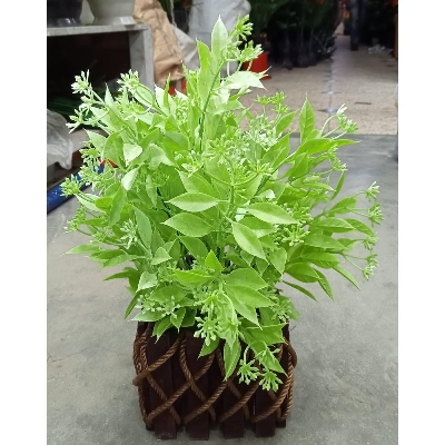 Picture of Artificial Plastic Plant Tree  -