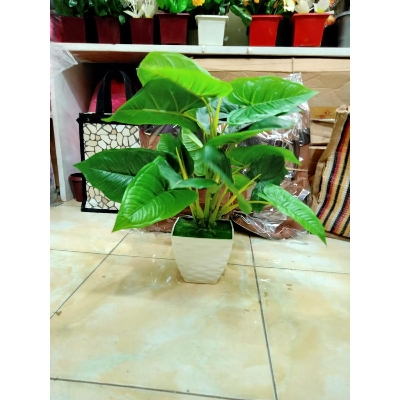 Picture of Plastic Artificial Flower - 10