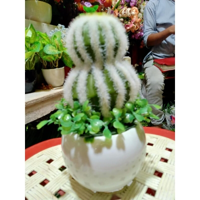 Picture of Plastic Artificial Flower - 23