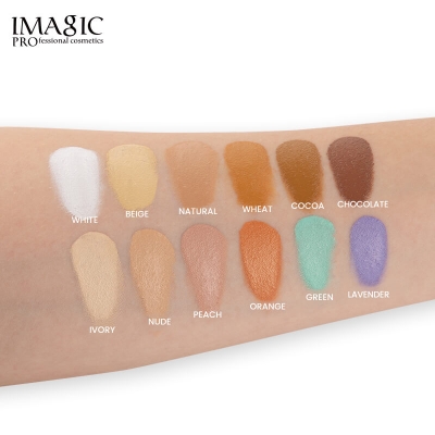 Picture of IMAGIC Professional-12Color Correction Palette.
