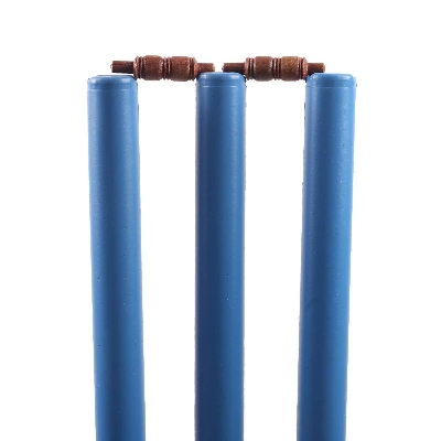 Picture of Plastic Cricket Stamp - Mark Your Cricket Equipment With This Blue Plastic Cricket Stamp - It'S Ideal For Personalizing Your Gear